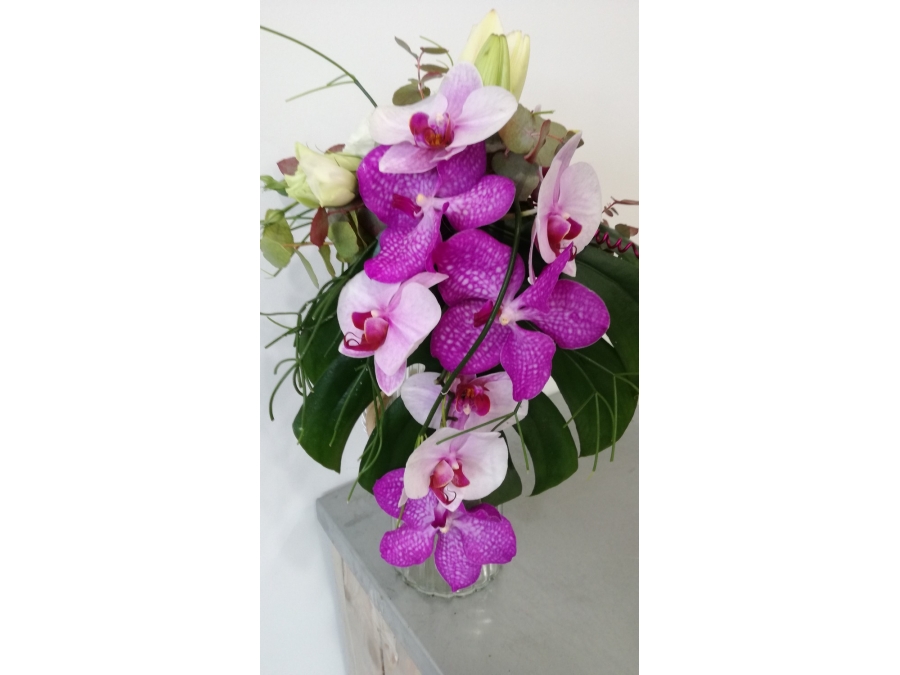 Ml Fleurs - cascade d'orchidées