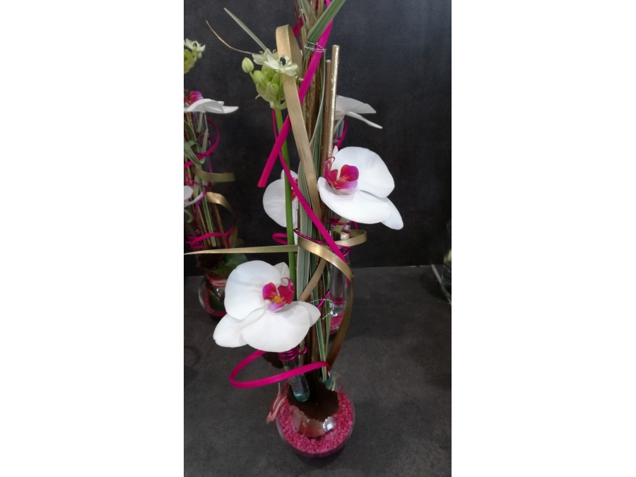 Ml Fleurs - phalaenopsis